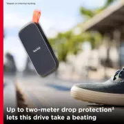 SanDisk Portable SSD 1 TB (SDSSDE30-1T00-G26) (EU)