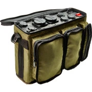 Зарядная станция Промавтоматика Bandera Power 225S (UA)