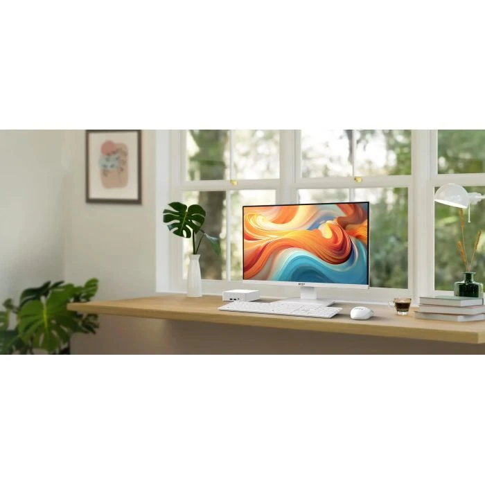 MSI PRO MP241W-E14V (9S6-3PE1CH-027) (UA)