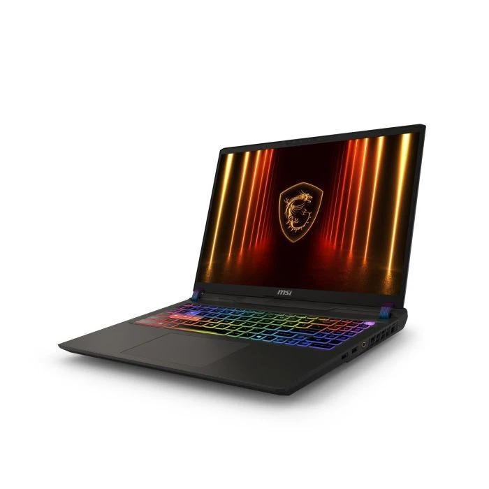 MSI Vector A16 HX (VECTOR A16HX A8WIG-073XUA) (UA) Тип ноутбука: игровой; Диагональ