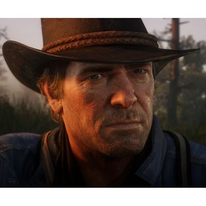 Sony Red Dead Redemption 2, BD диск (5026555423052) (UA)