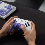 Геймпад Proove Gaming Skadi White/Purple (WGSK00022016)