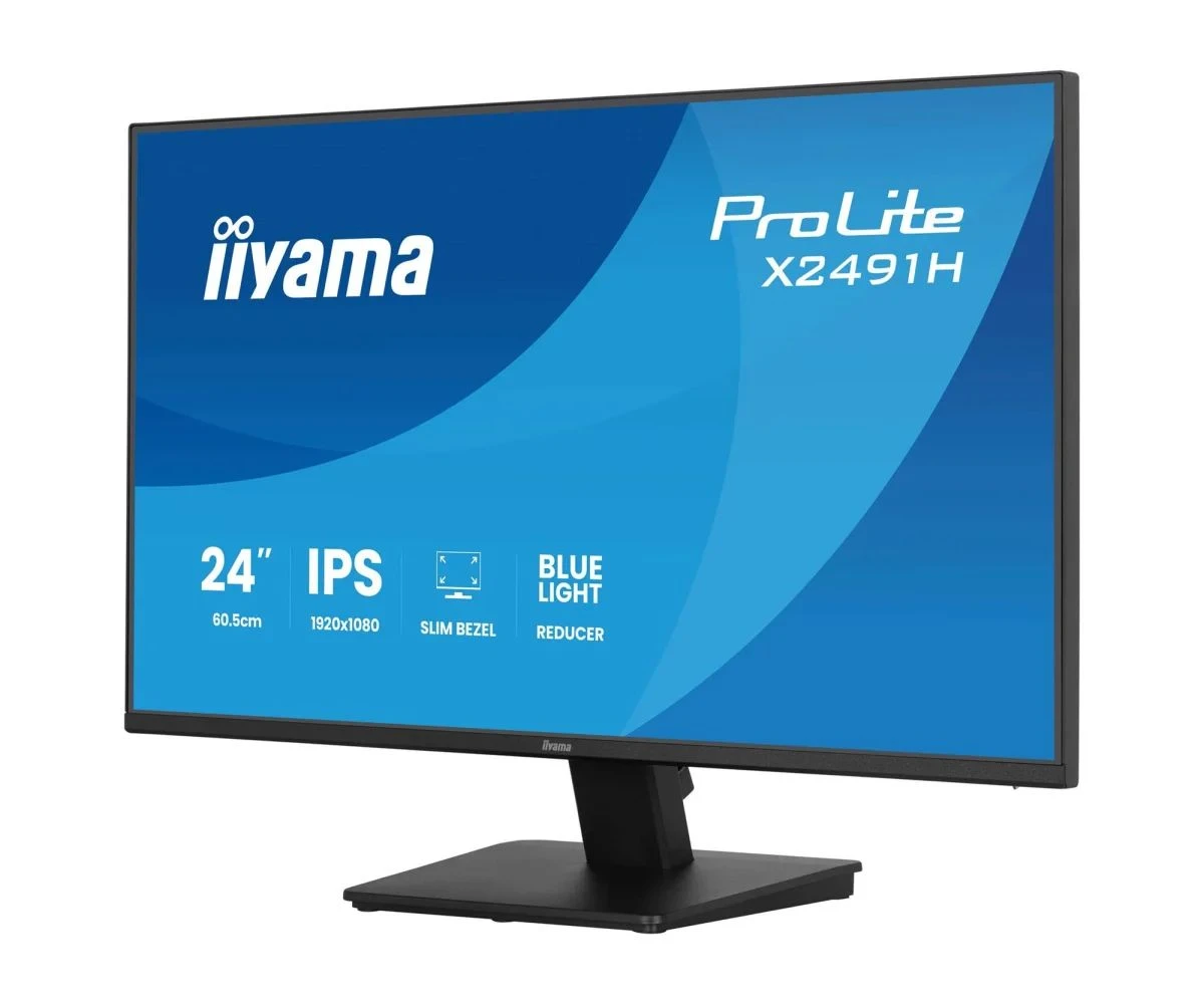iiyama ProLite X2491H-B1 (X2491H-B1) EU