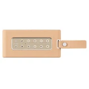2E SoundLegend PowerBank IPX6 RGB Brown (2E-BSSLWBN) (UA)