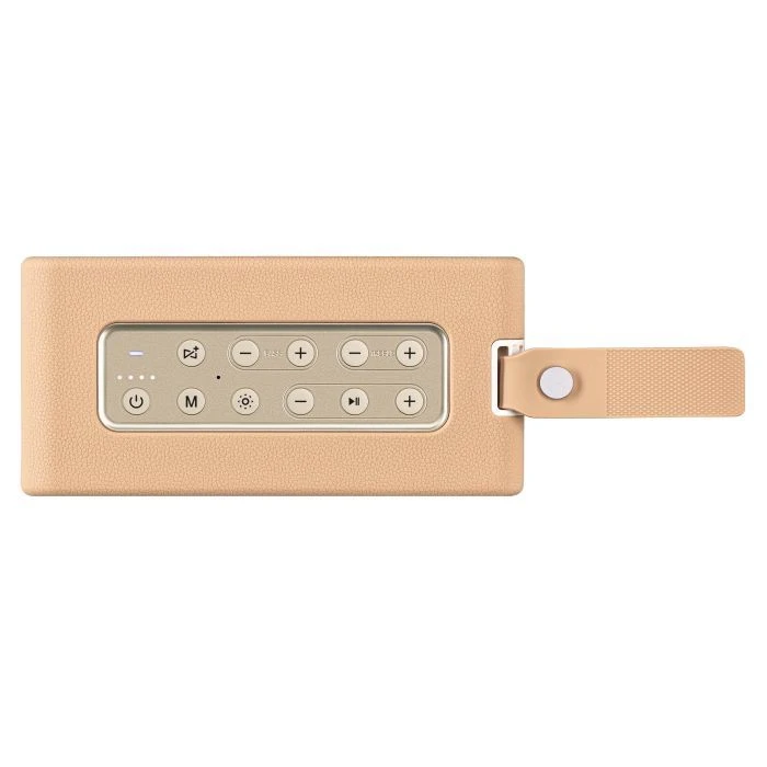 2E SoundLegend PowerBank IPX6 RGB Brown (2E-BSSLWBN) (UA)