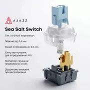 Ajazz AK820 Sea Salt Switch RGB USB-C UA Black (AK820-SS-BGY) (UA)