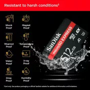 SanDisk 512 GB microSDXC Express (SDSQXFN-512G-GN4NN) (UA)