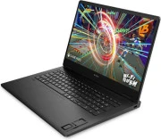 HP OMEN 17-db1001ua (C3UQ4EA)