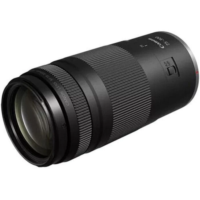 Canon EOS R100 + 18-45 IS STM + 75-300 IS STM (6052C121) (UA) Тип фотокамер: Беззеркальные;