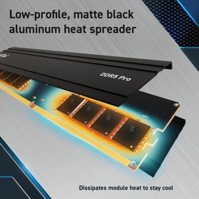 DDR5 24GB 5600 MHz Pro Micron (CP24G56C46U5) (UA)