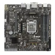ASUS P10S-M WS