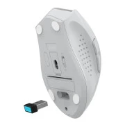 A4Tech Fstyler FG55S Plus Wireless White (4711421003438) (UA)