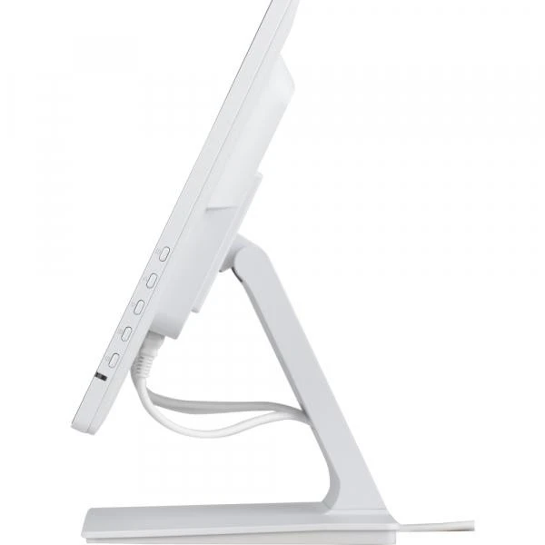 iiyama ProLite T2452MSC-W2AG (UA)