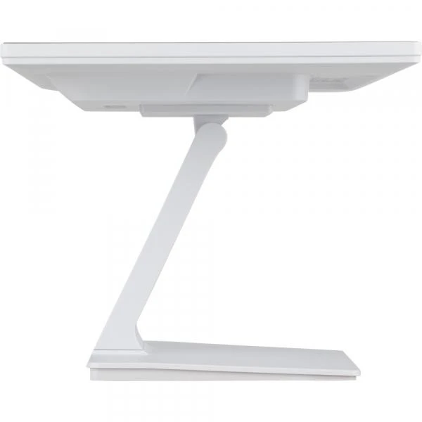 iiyama ProLite T2452MSC-W2AG (UA)