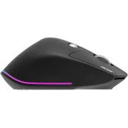 Acer Easy Fit Wireless Black (HP.EXPBG.021) (UA)