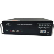 Батарея LiFePo4 Ritar 48V 100Ah (R-LFP48V100Ah) (UA)
