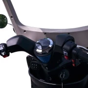 Электроскутер Skyline S (T418S) 500Вт 48В 20Агод (297055) (UA)