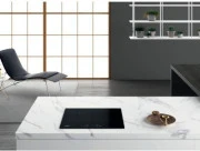Whirlpool WS Q2160 NE