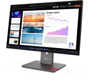Lenovo P24Q-40 (64B2GAT1UA) (UA)