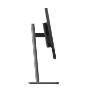 Lenovo P24Q-40 (64B2GAT1UA) (UA)