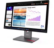 Lenovo P24Q-40 (64B2GAT1UA) (UA)