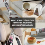 Shark Stain-Destroying Spot HX100EUT