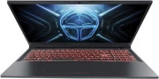 Thunderobot R16 (R16-i7146HX56C1Q300RG)