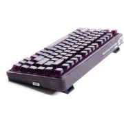 Thunderobot K75 TKL RGB Tri-mode Violet Mist Moon Switch Purple (6932066305550) (UA)