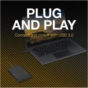 Seagate Expansion Portable 2 TB (STKM2000400)