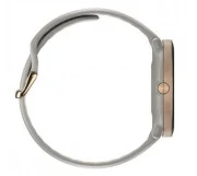 Смарт-часы Polar Ignite 3 Greige Gold (900106237)