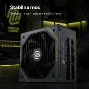 MSI MAG A1000PLS PCIE5 1000W 80 Plus Platinum (306-7ZPNY11-CE0) EU