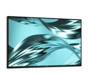 Dell Pro P2426H (210-BVTG) EU
