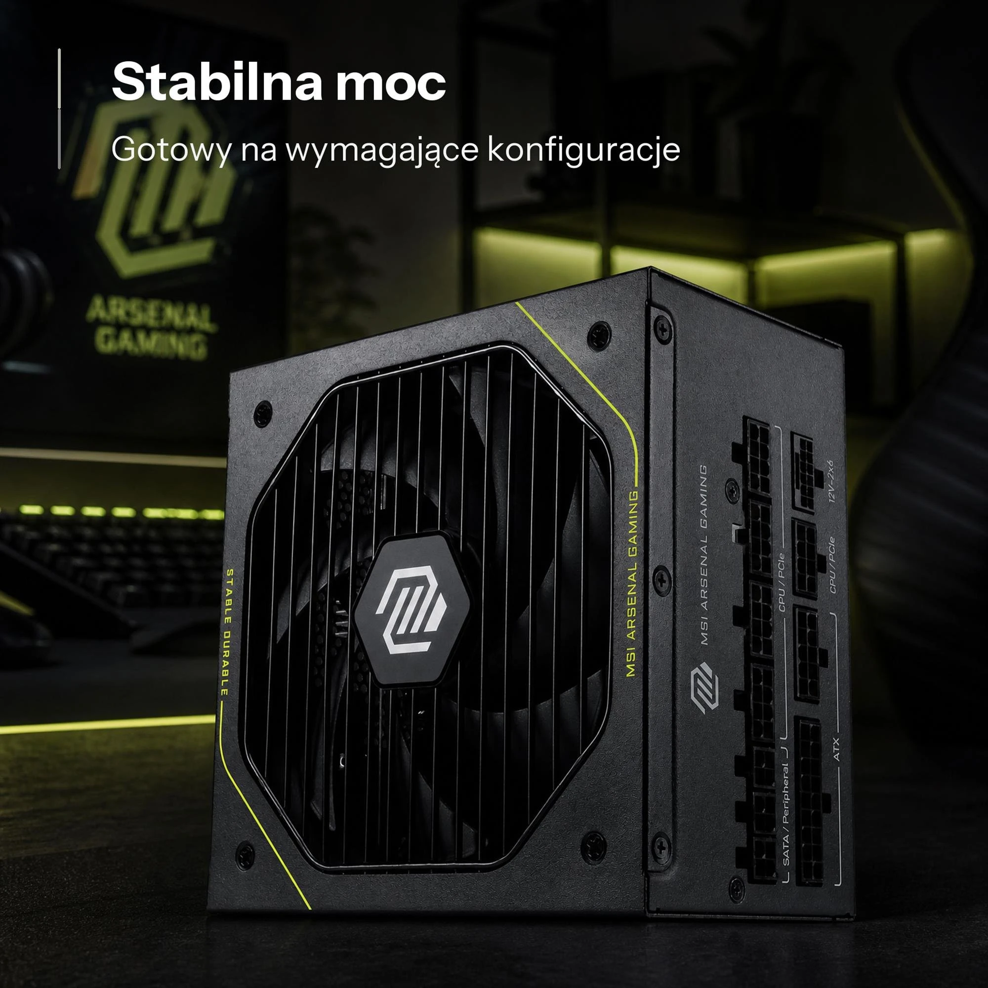 MSI MAG A1000PLS PCIE5 1000W 80 Plus Platinum (306-7ZPNY11-CE0) EU