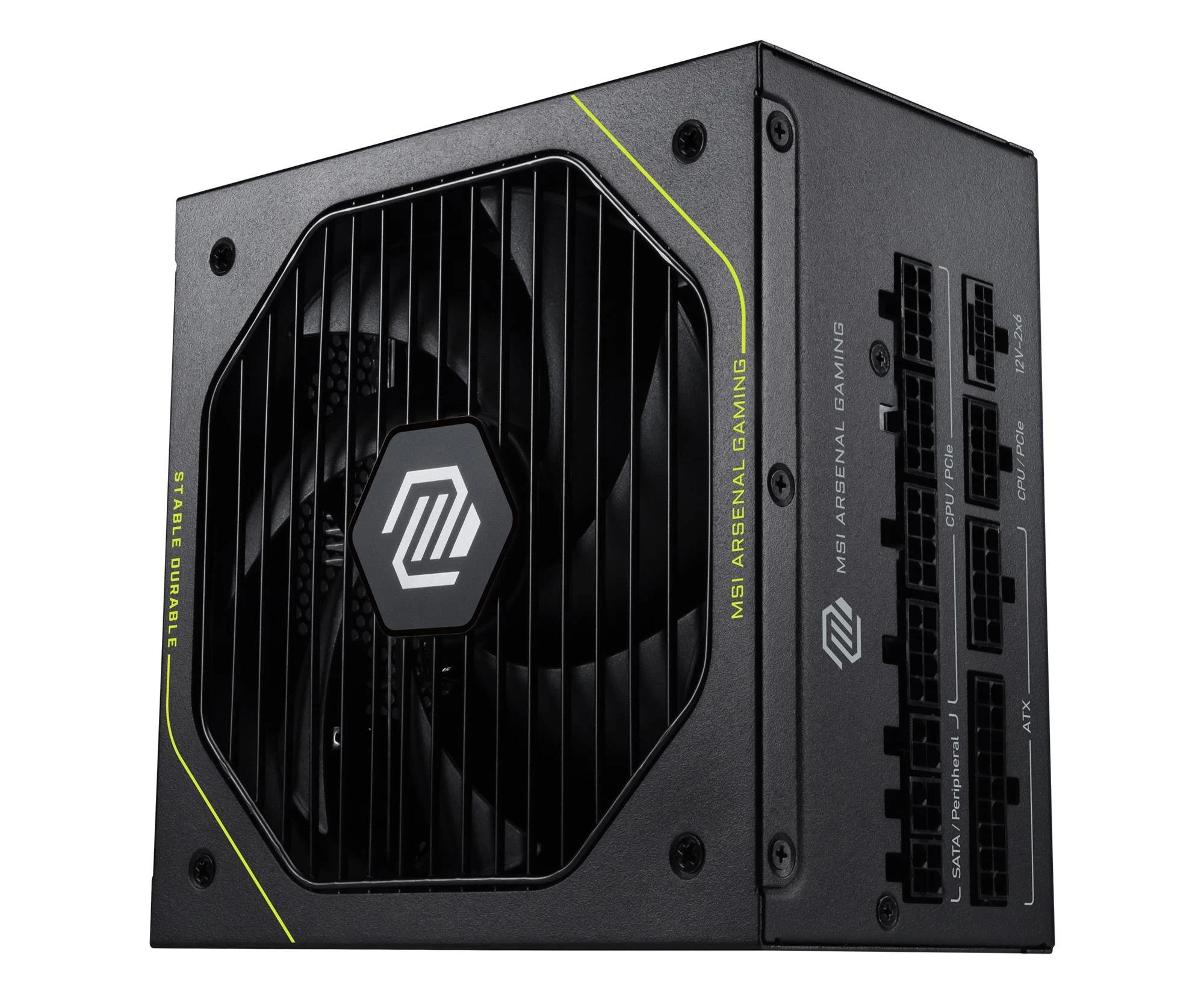 MSI MAG A1200PLS PCIE5 1200W 80 Plus Platinum ATX 3.1 (306-7ZPNX11-CE0) EU