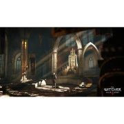 Sony The Witcher 3 Wild Hunt Complete Edition + 10th Anniversary Steelbook, BD диск (5908305250463) (UA)