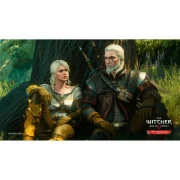 Sony The Witcher 3 Wild Hunt Complete Edition + 10th Anniversary Steelbook, BD диск (5908305250463) (UA)