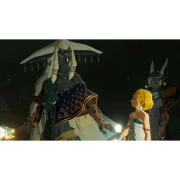 Nintendo HYRULE WARRIORS AGE OF IMPRISONMENT, картридж (0045496313500) (UA)
