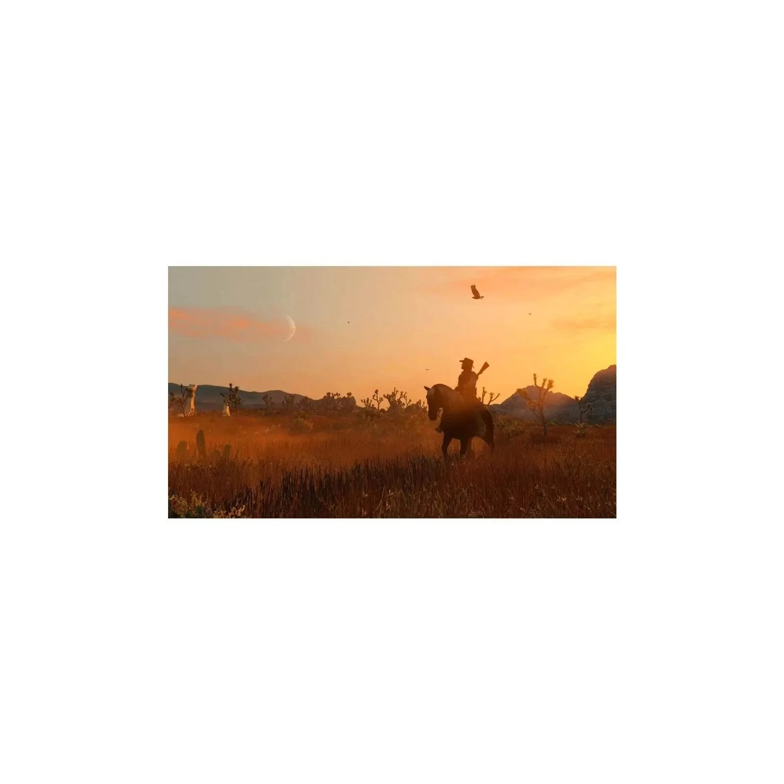 Sony Red Dead Redemption Remastered, BD диск (5026555439435) (UA)