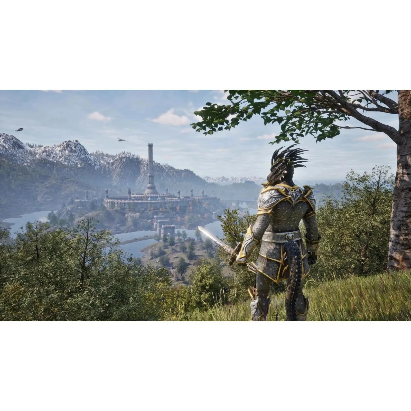 Sony The Elder Scrolls IV Oblivion Remastered Deluxe Edition, BD (1181853) (UA)