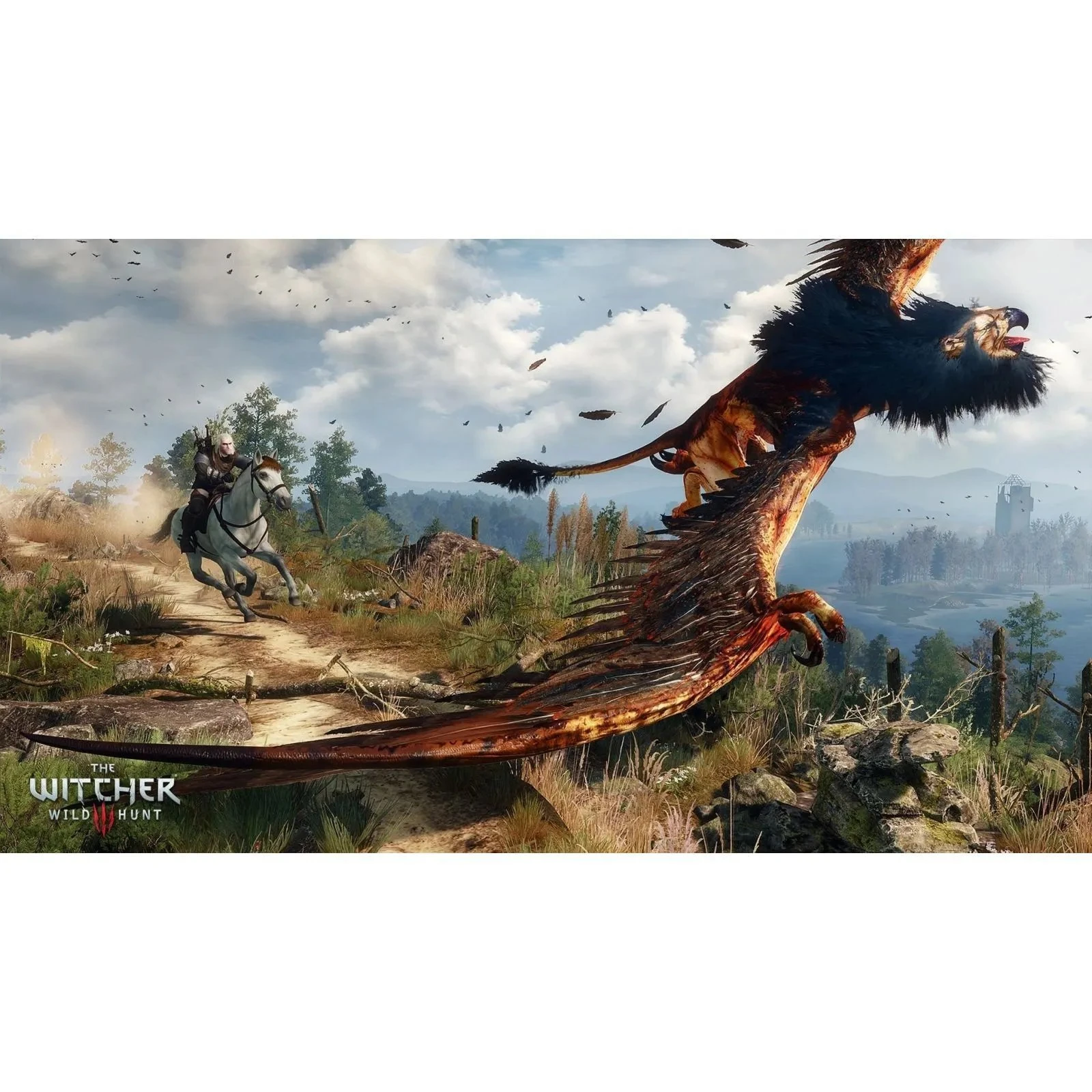 Sony The Witcher 3 Wild Hunt Complete Edition + 10th Anniversary Steelbook, BD диск (5908305250463) (UA)
