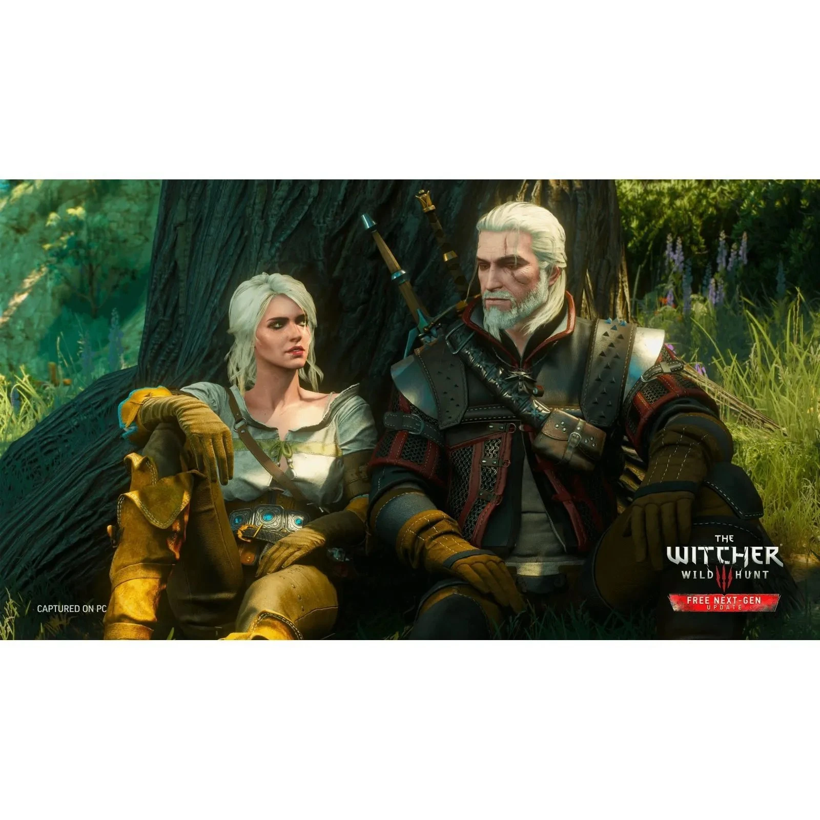 Sony The Witcher 3 Wild Hunt Complete Edition + 10th Anniversary Steelbook, BD диск (5908305250463) (UA)