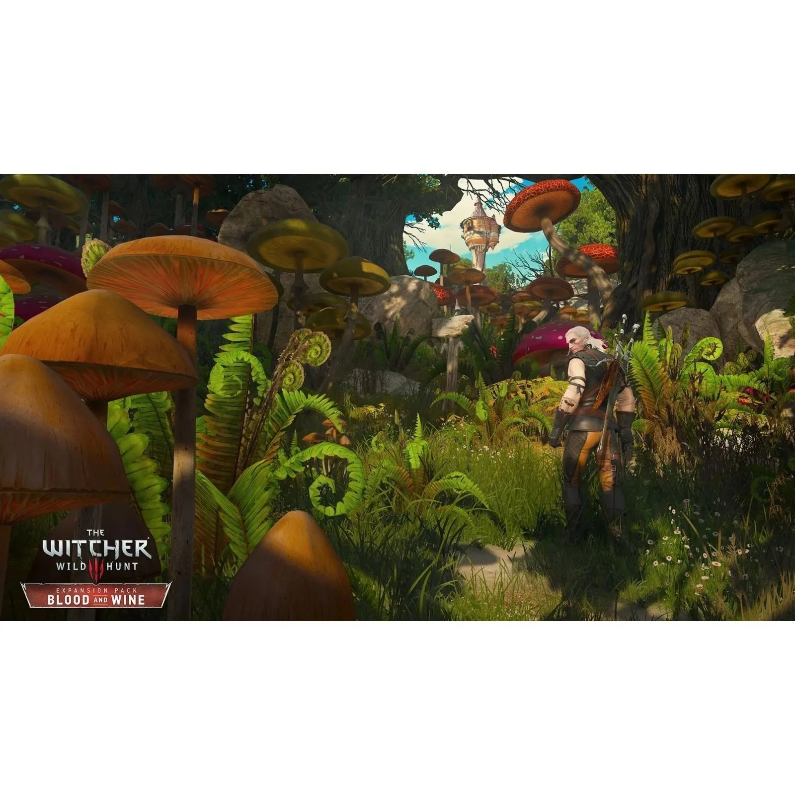 Sony The Witcher 3 Wild Hunt Complete Edition + 10th Anniversary Steelbook, BD диск (5908305250463) (UA)