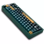 Thunderobot VIC68 TTC Ultra RGB King Magnetic Switch USB Parrot Green (6932066320188) (UA)