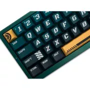 Thunderobot VIC68 TTC Ultra RGB King Magnetic Switch USB Parrot Green (6932066320188) (UA)