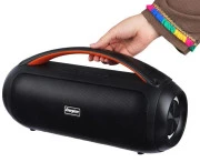 Energizer BTS258 20W Black (BTS258) (UA)