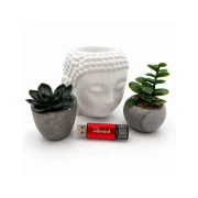 Wibrand 128GB Ladybug Red USB 3.2 (WI3.2/LB128P10S) (UA)