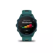 Смарт-годинники Garmin Forerunner 170 Music, GPS, WiFi, Teal Green/Citron, GPS смарт-годинник (010-03920-12) (UA)