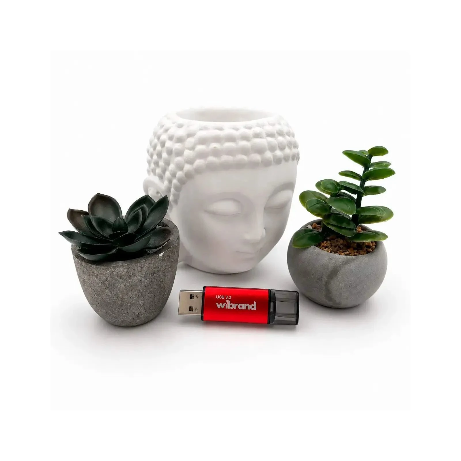 Wibrand 128GB Ladybug Red USB 3.2 (WI3.2/LB128P10S) (UA)
