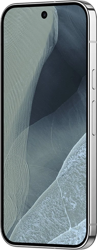 Google Pixel 11 Pro 12/256GB Fog