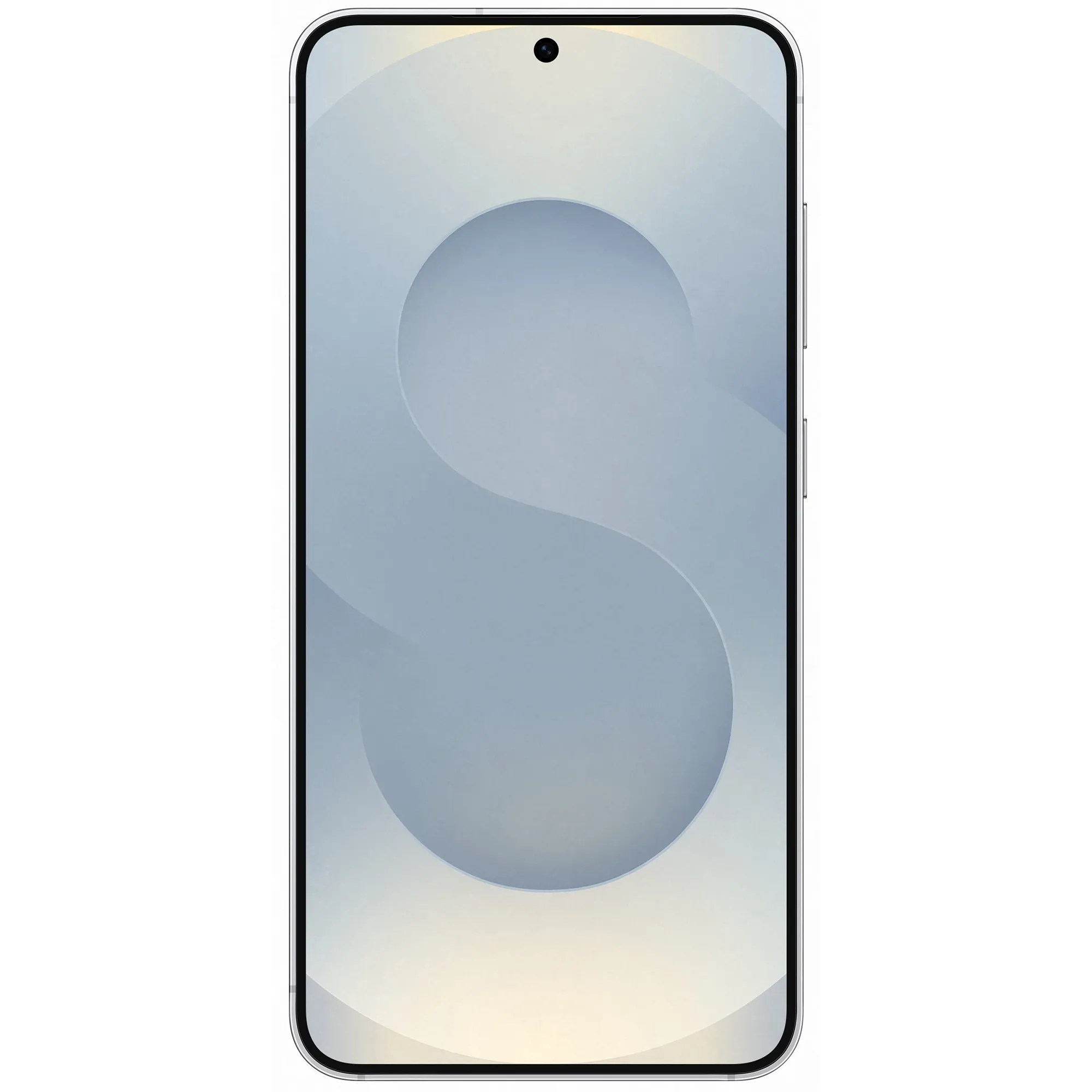 Samsung Galaxy S25 12/256GB Silver Shadow (SM-S931BZSG) (Уцінка) Брак лакофарбувального